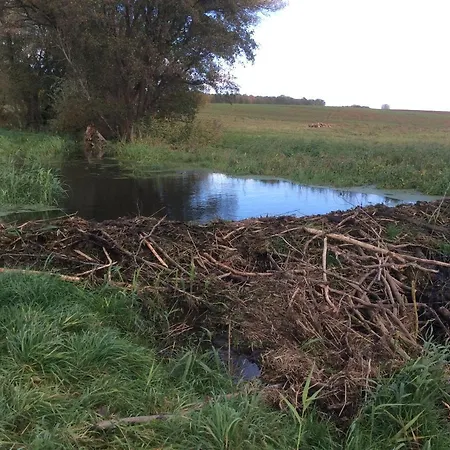 Gutshaus Alt-jargenow *