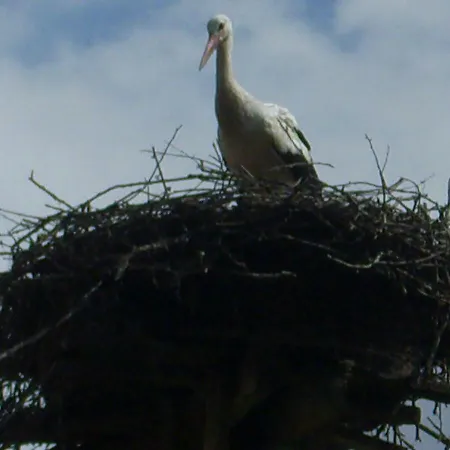 Lägenhet Gutshaus Alt-jargenow *